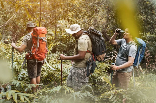 Groupe Hommes Divers Trekking Dans Forêt Ensemble — Photo