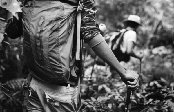 Grupo Pessoas Trekking Uma Floresta — Fotografia de Stock