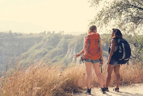 Gruppo Amici Che Viaggiano Insieme — Foto Stock