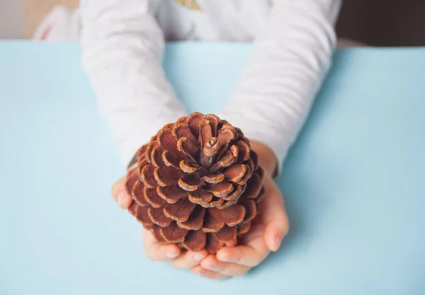Child holding a Christmas decor big pine cone in a hands on the blue background — Stock Photo, Image