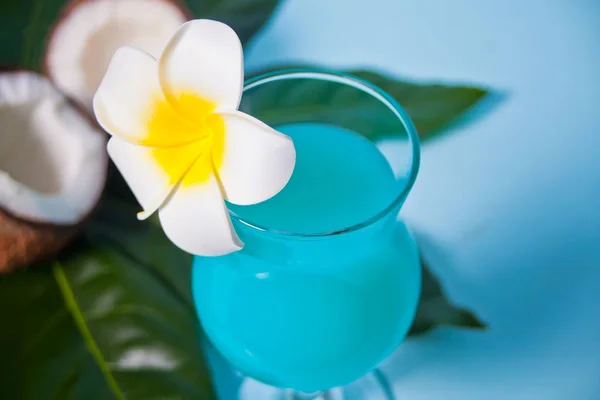 이국적 인 열 대의 푸른 쿠라 카오 칵테일 한 잔에 플루 메리아 프랑 기파니 꽃, 야자수 잎, 싱싱 한 코코넛이 배경에 있다. — 스톡 사진