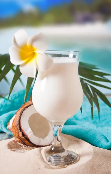Traditional caribbean exotic tropical cocktail drink pina colada in a glasses with Plumeria frangipani flowers, palm leaf and coconut on the background. Tropical beach picnic concept. — 스톡 사진