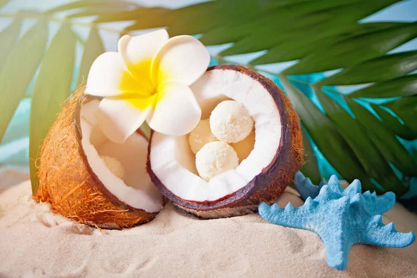 Цукерки в кокосових пластівцях у свіжому кокосовому горіху. Слюсарі франгіпані і пальмовий лист на фоні . — стокове фото