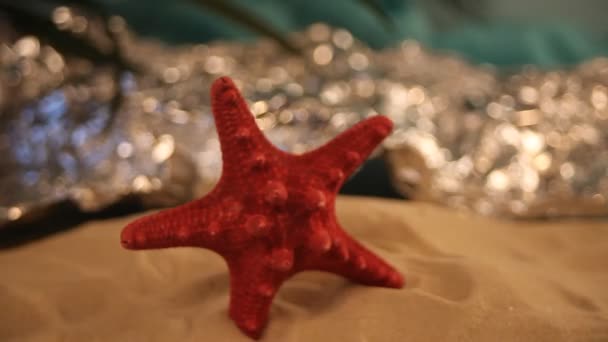Red starfish in a white sand. The sea shimmers from behind — Stock Video