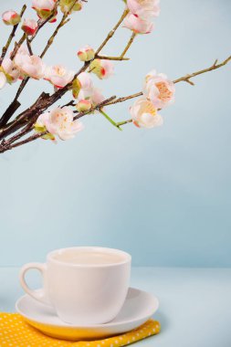 Mavi arka planda sakura çiçekleri açan bir fincan çay ve kiraz. Bahar konsepti Boşluğu kopyala.