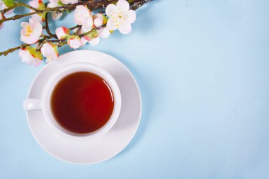 Mavi arka planda sakura çiçekleri açan bir fincan çay ve kiraz. Bahar konsepti Üst Manzara. Boşluğu kopyala.