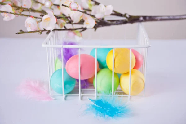 Kolorowe Jajka Wielkanoc Żelaznym Koszu Gałązce Wiśni Przestrzeń Kopiowania — Zdjęcie stockowe