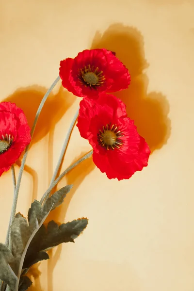 Sarı Arka Planda Kırmızı Gelincik Çiçeği Bitkisi — Stok fotoğraf
