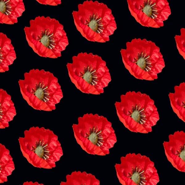 Poppy Květiny Vzor Pozadí Černém Pozadí — Stock fotografie