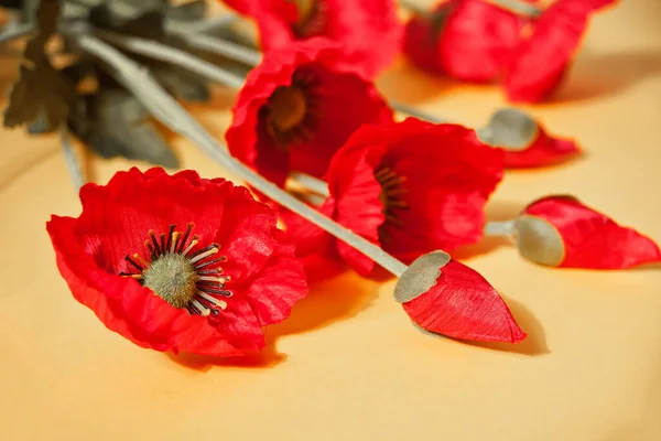 Poppy Dzikie Kwiaty Żółtym Tle — Zdjęcie stockowe