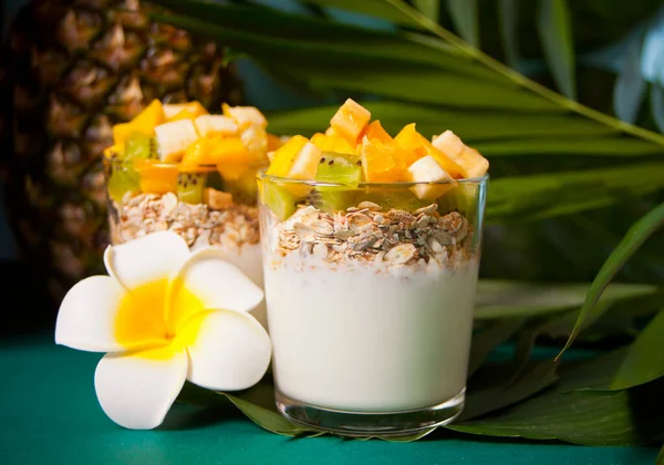 Exotic Tropical Fruit Salad Muesli Yogurt Glasses Palm Leaf — 스톡 사진