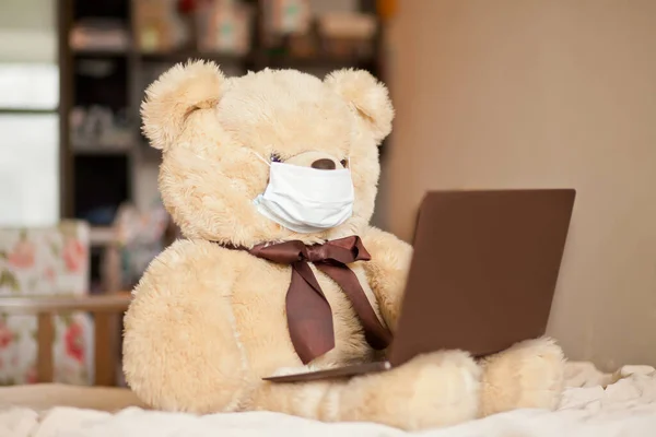Big brown bear toy in medical mask sitting on the bed with digital tablet laptop notebook. Online call friends or parents
