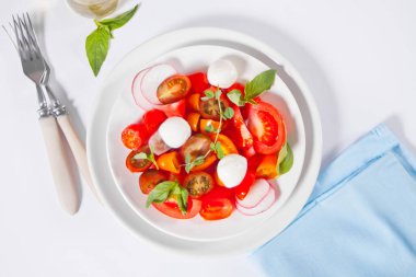 Sulu domatesli salata, fesleğen ve mozzarella. Üst Manzara. Sağlıklı beslenme kavramı