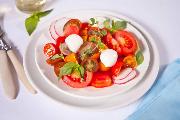Sulu domatesli salata, fesleğen ve mozzarella. Üst Manzara. Sağlıklı beslenme kavramı
