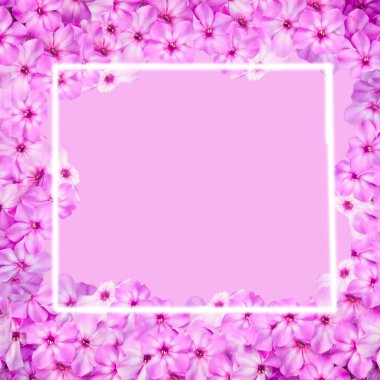 Pembe arka planda pembe çiçek çerçevesi. Boşluğu kopyala.