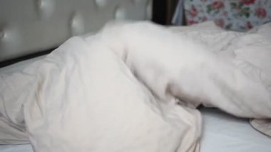 Yatakta eğlenen kız, battaniyeyle oynar, yetişkinleri saklar ve korkutur.