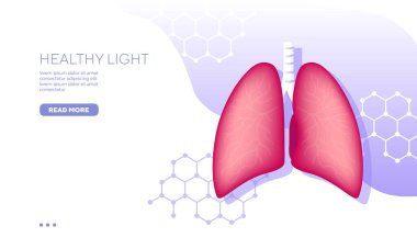 Sağlıklı akciğer DNA 'sı vektör çizimi