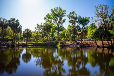Florida Üniversitesi, Gainesville, Florida kampüsündeki Dairy Pond. Gölet, Marston Bilim Kütüphanesi ve Bilgisayar Bilimleri binasının yakınında. Kampüs turu