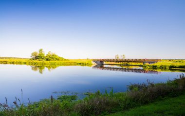 Florida, Gainesville 'deki bir doğa koruma alanı olan Sweetwater Wetlands Parkı görülmesi gereken bir turne merkezidir. Patikalar ve kaldırımlar insanların yaşam alanını eğitim işaretleri ve turlarla öğrenmelerini sağlıyor..