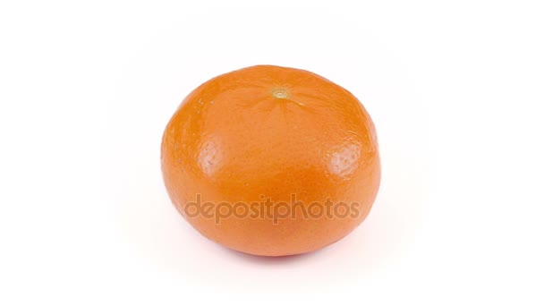 Mandarino arancione rotante senza soluzione di continuità — Video Stock