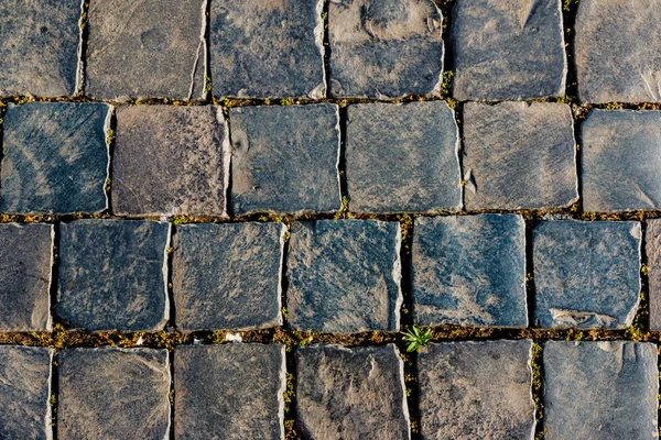Eski kare sokak taş — Stok fotoğraf