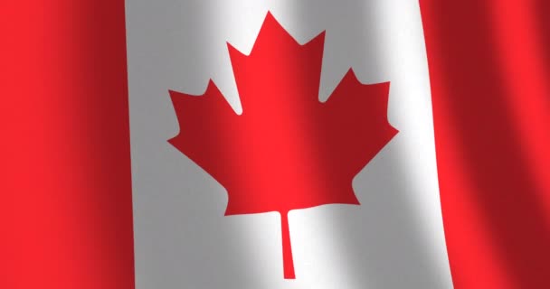 Флаг Канады движущийся ветер — стоковое видео