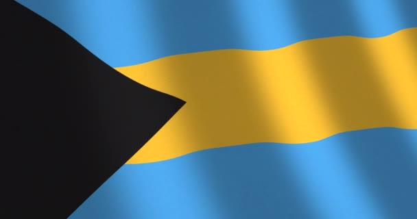 Fahne Bahamas bewegt Wind — Stockvideo