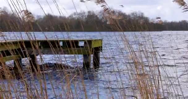 桟橋が付いている湖の風で移動リード — ストック動画