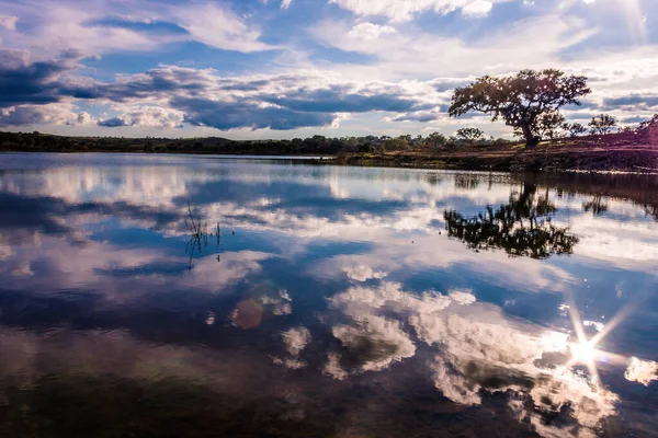 Bulutları Suya Yansıyan Bir Göl Arka Planda Bir Ağaç — Stok fotoğraf