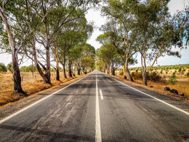 Lizbon 'da siyah beyaz bir tekne nehirde yüzüyor.