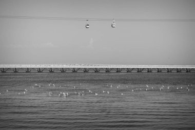 Teleferik Lisbon 'da siyah beyaz fotoğrafta.