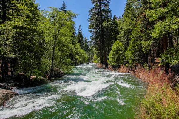 Raging Green Waters Kings River Kings Canyon National Park California Stock Picture