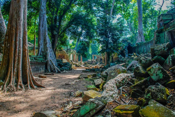 Wandelpad Door Oude Ruïnes Van Angkor Wat — Stockfoto