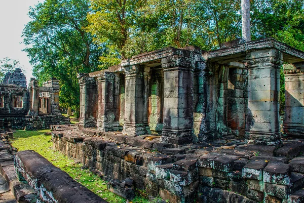 Tempelzuilen Groene Bomen Tussen Ruïnes Van Angkor Wat — Stockfoto