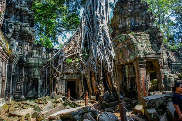 Afbrokkelende Tempelgebouwen Omhuld Door Boomwortels Angkor Wat — Stockfoto