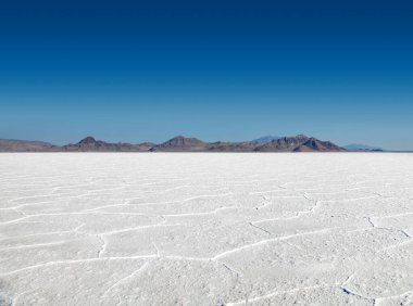 Beyaz Bonneville Tuz Düzlükleri 'nin panoramik manzarası