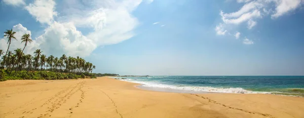 Vista Panorámica Playa Desierta Arena Amarilla Sri Lanka —  Fotos de Stock