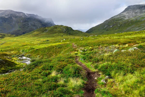 Alpine hiking path through bright green grass