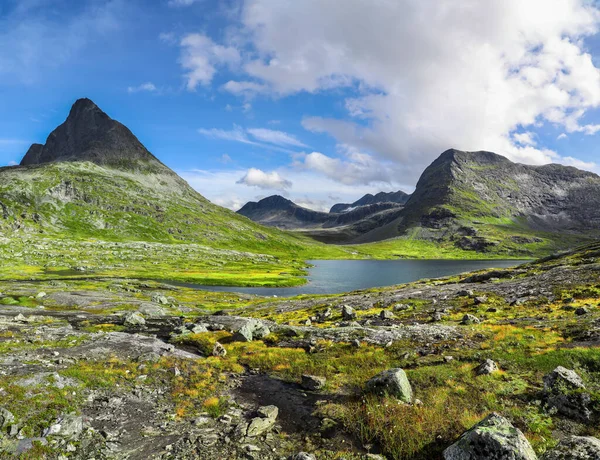 Озеро Серед Кам Яних Вершин Моховий Ландшафт Альнесатнет Норвегія — стокове фото