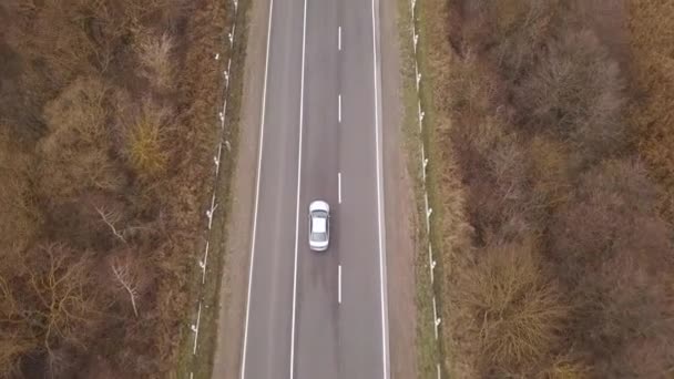 Auto rijden op de asfaltweg tussen de bomen luchtfoto — Stockvideo