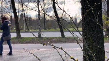 Park boyunca insanların geçtiği ve arabaların geçtiği yol.
