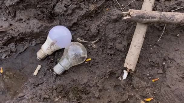 Two Bulbs Thrown Out Street Lie Ground Mud Puddle Polluting — Stock Video