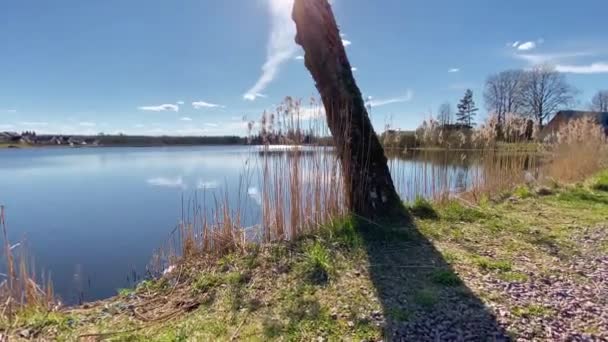 Silhouette Albero Con Rami Nudi Senza Foglie Vicino Lago Sullo — Video Stock