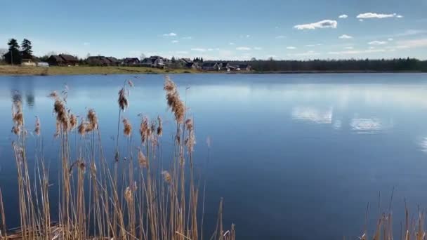 Cañas Secas Orilla Lago Azul Sol Está Poniendo Puesta Sol — Vídeos de Stock