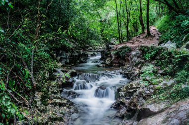 Küçük şelaleli nehir, uzun pozlamanın ipek etkisini elde etmek için yavaş bir hızla fotoğraflandı..