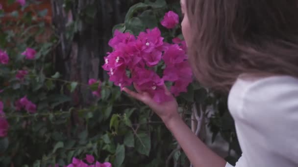 年轻的女性的手触摸着粉红的花 农村生活方式 把闻花香的女人关起来美丽的大自然 开满鲜花的灌木 — 图库视频影像