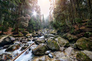 Dağ nehir Ulu-Murudzhu