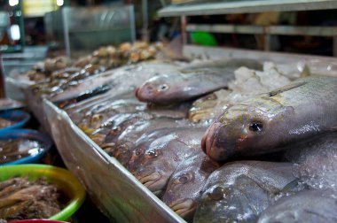 Tezgahta taze balık
