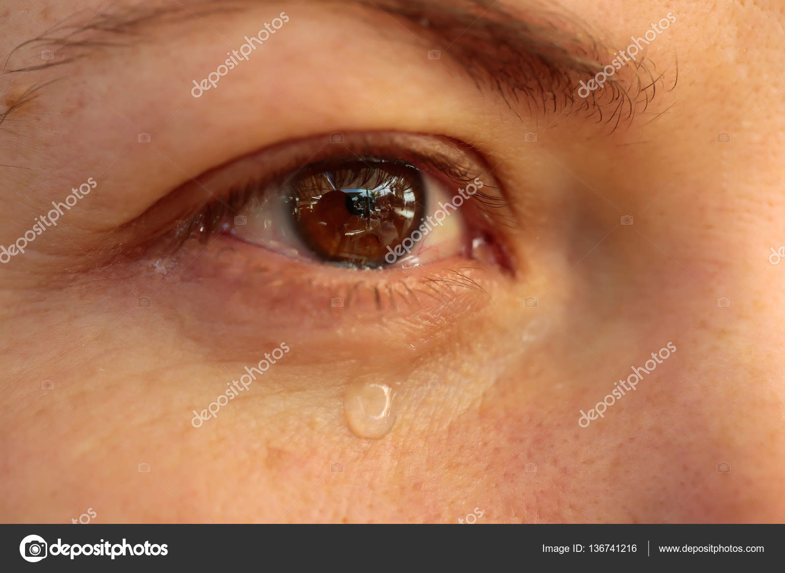 https://depositphotos.com/license.html