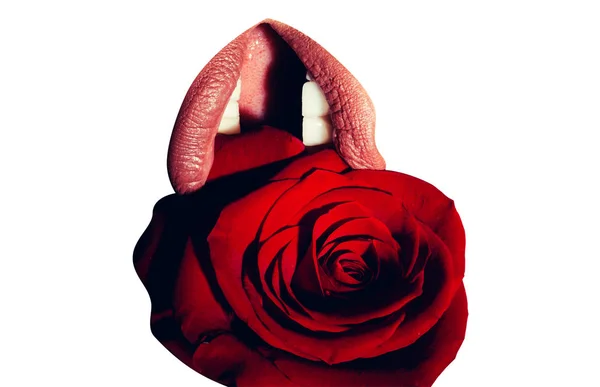 Lippen - sexy weiblich - mit rosa Lippenstift und roter Rose in der Nähe, isoliert. schönes und willkommenes Geschenk am Valentinstag, Rose und Liebesbeichte oder Heiratsantrag, Hochzeit, Leidenschaft und sinnlicher Sex — Stockfoto